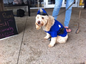 A light gold dog wearing a police vest and hat