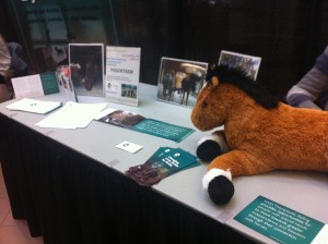 The SARE Theraputic Riding Booth, with green brochures, pictures, and a toy brown horse